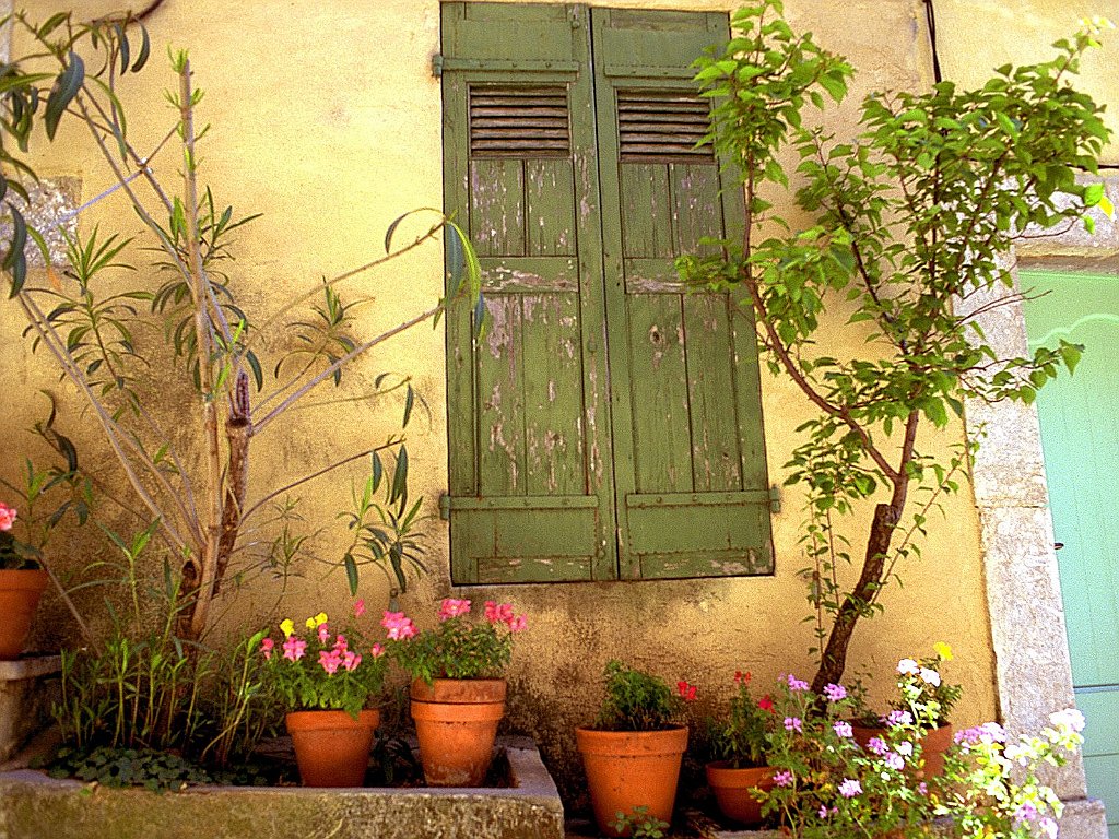 Weathered Beauty